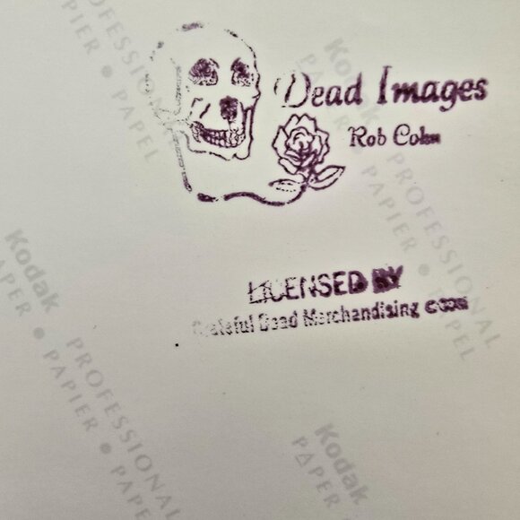 Jerry Garcia & Saxophonist Branford Marsalis Grateful Dead Licensed Photo Print - Picture 3 of 11